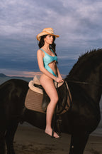 Costume Horse