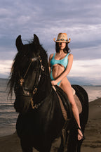 Costume Horse